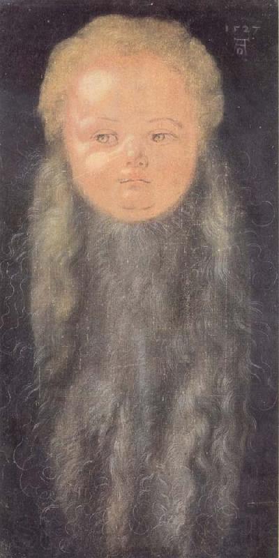 Albrecht Durer Portrait of a boy with a long beard Spain oil painting art
